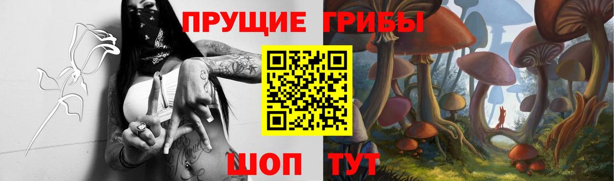 Галлюциногенные грибы Psilocybine cubensis Малоярославец