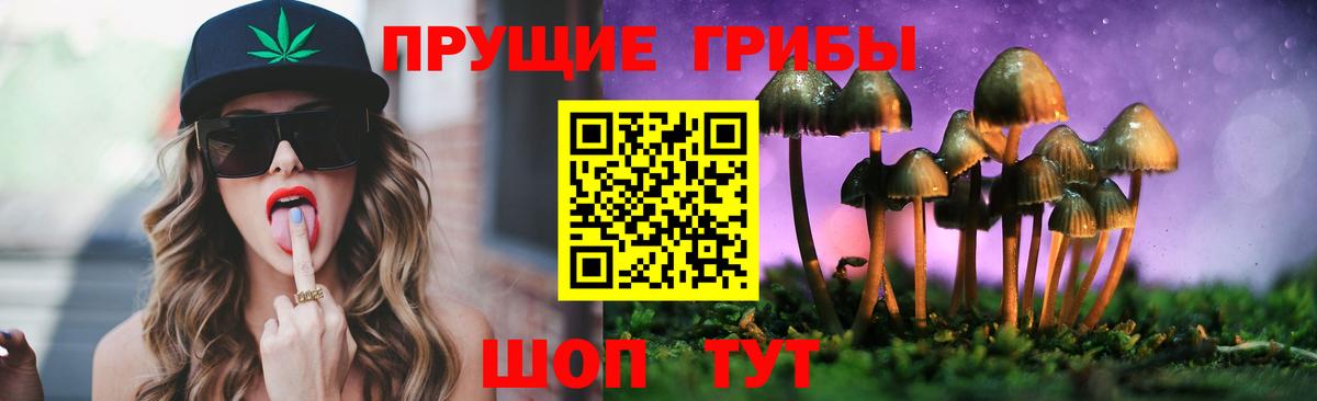 Малоярославец  купить закладку  Вход с VPN  Псилоцибиновые грибы Cubensis 